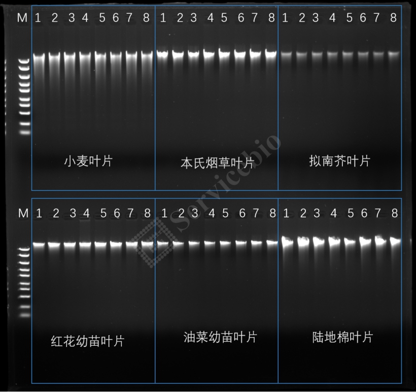 图片 1.jpg