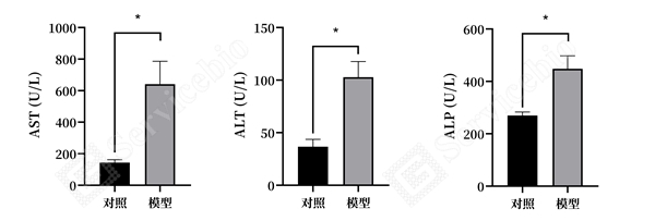 3、血清生化(4)(1) - 副本.jpg