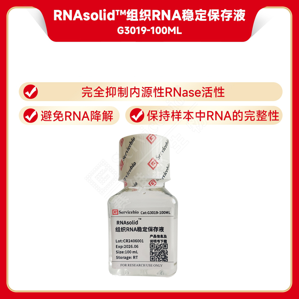 Dapi Rna 赛维尔生物服务|产品_Servicebio_武汉赛维尔生物科技有限公司