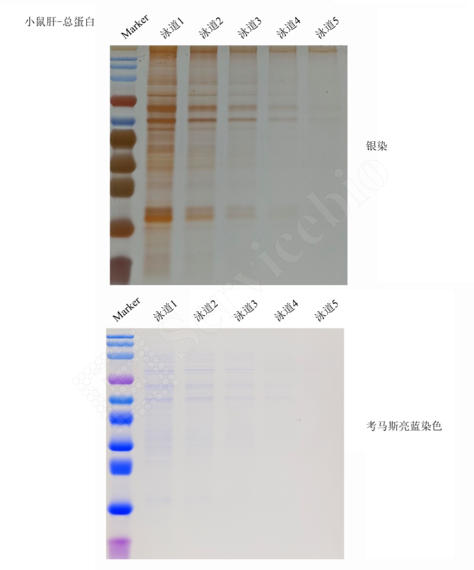 图片 3.jpg