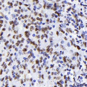 图片1 - 副本.jpg