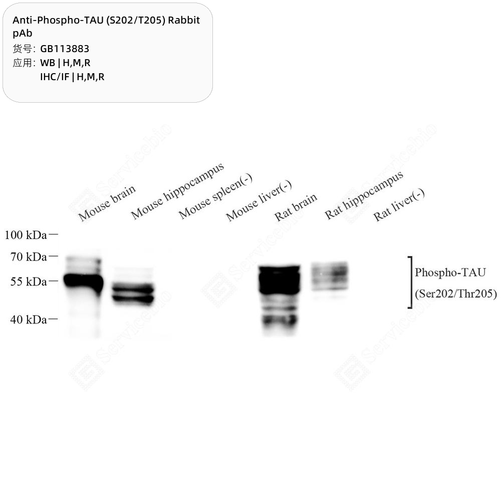 l-glutathione injectable where to buy Glutathione 200mg/mL