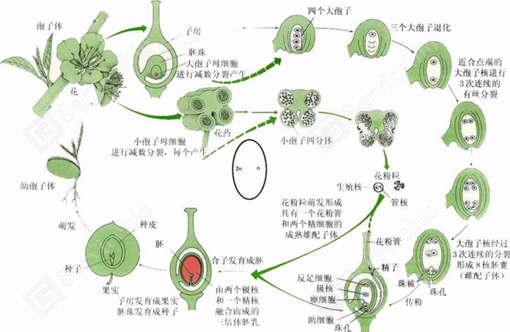 图片 1.jpg