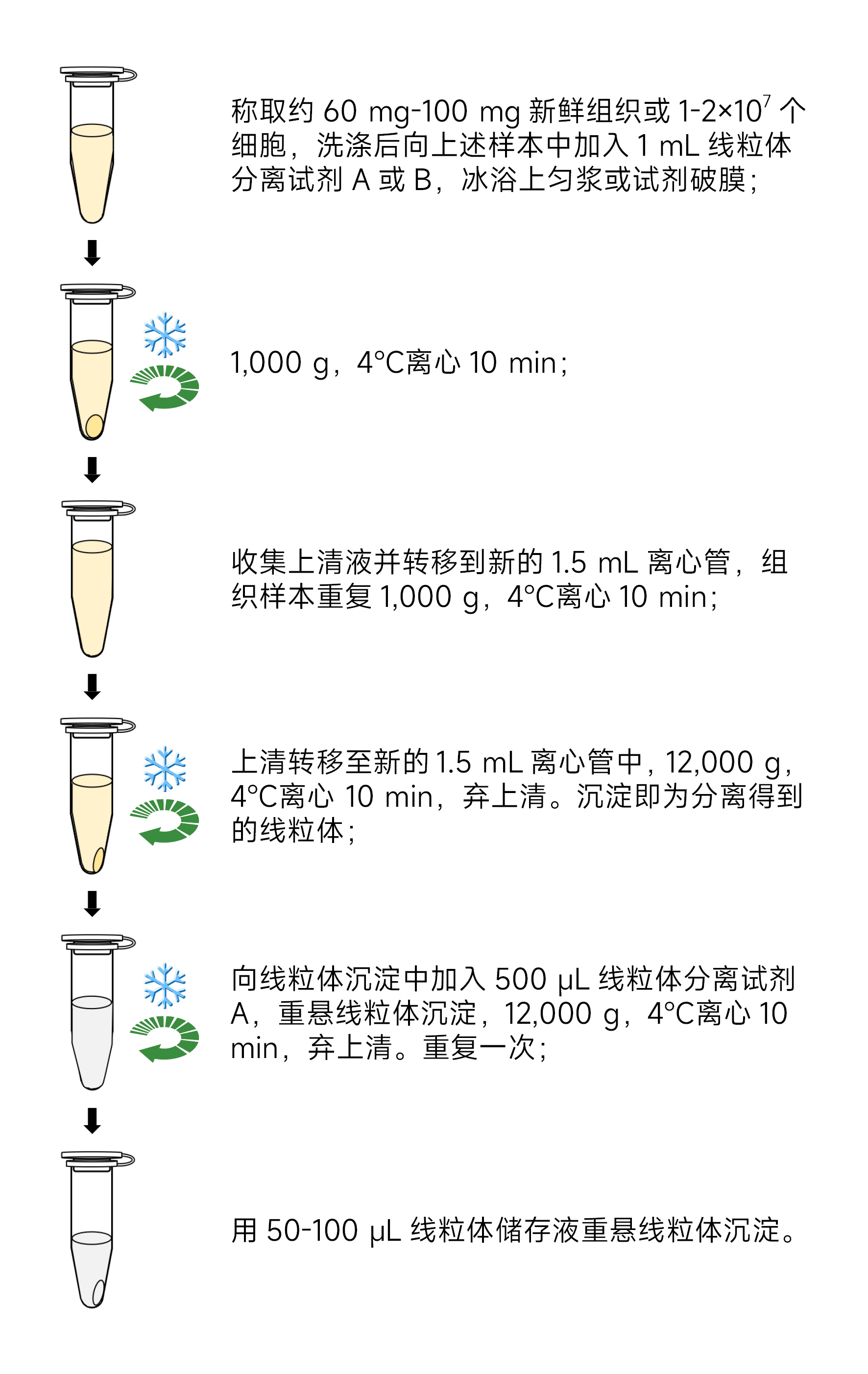 图片 1.png