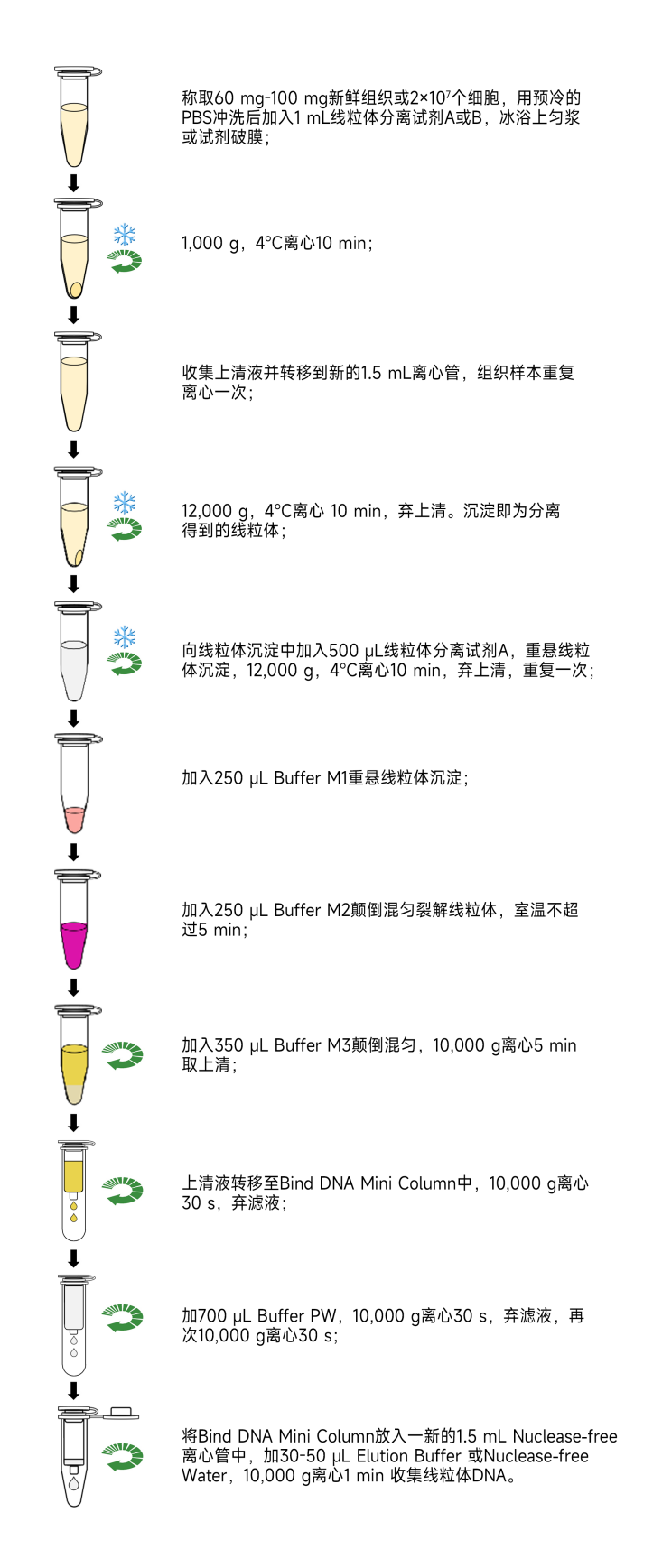 图片 1.png