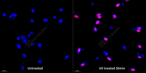 14 GB111841_200701_H2AX_6367_636720041702 PC-12 d200_40.0x_ICC_WM.jpg