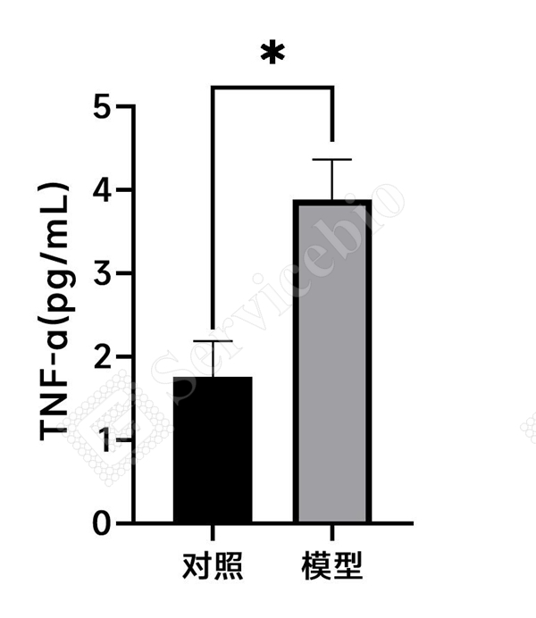 2、血清TNF-.jpg