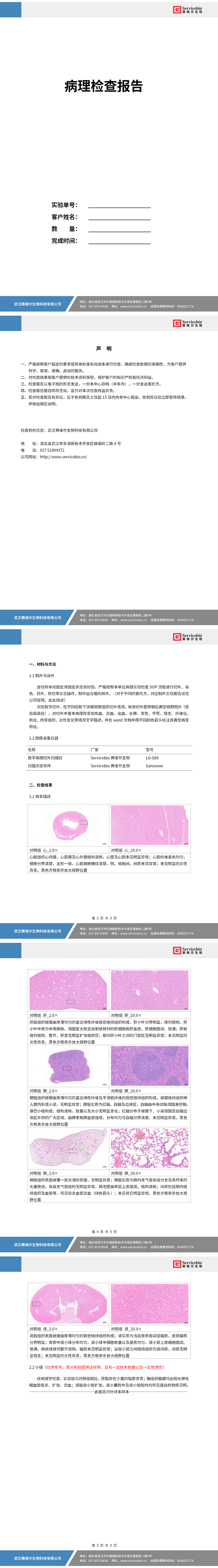 5158_病理描述实验报告_01.png