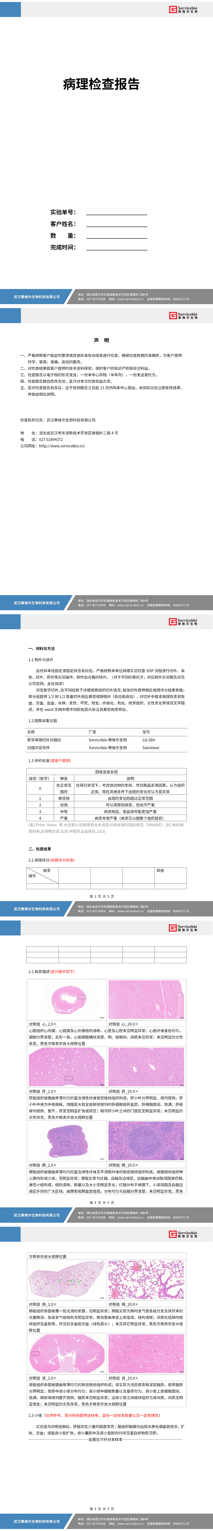 5154_病理评分实验报告_01.png