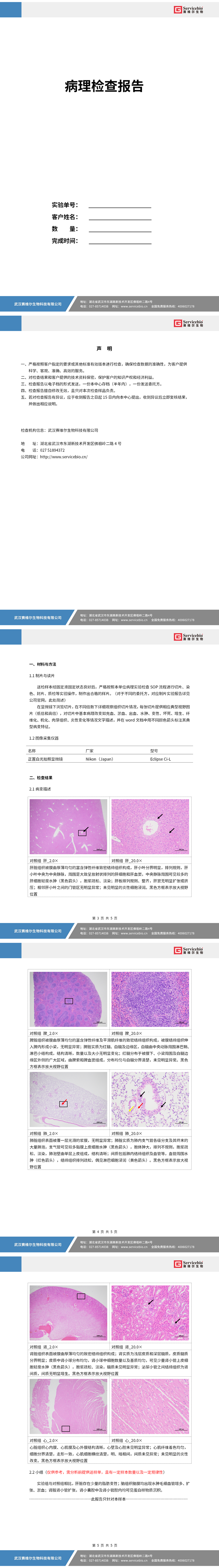 5157_病理描述（含拍照）实验报告_01.png