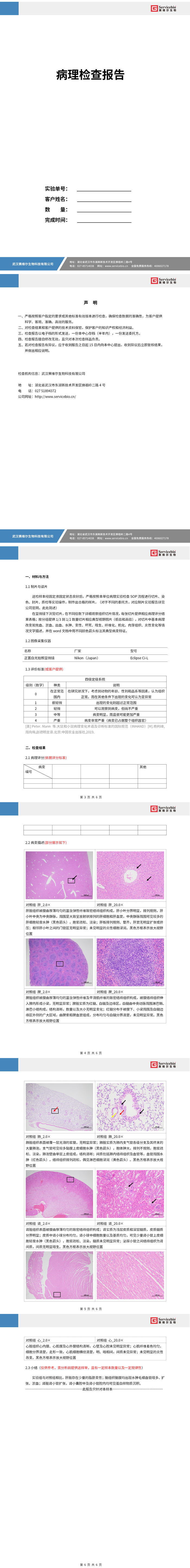 5153_病理评分（含拍照）实验报告_01.png