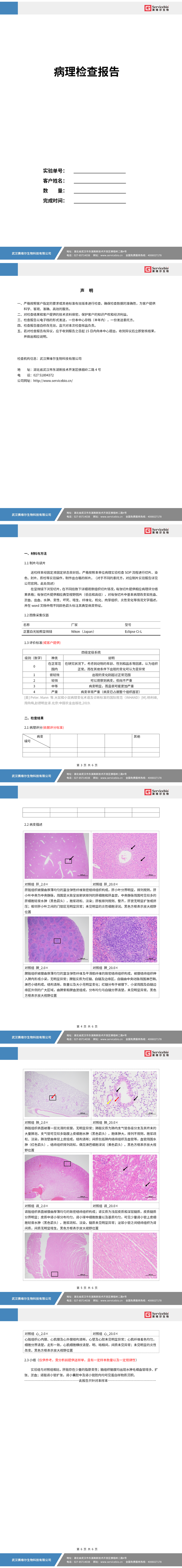 5155_病理描述+评分（含拍照）实验报告_01.png
