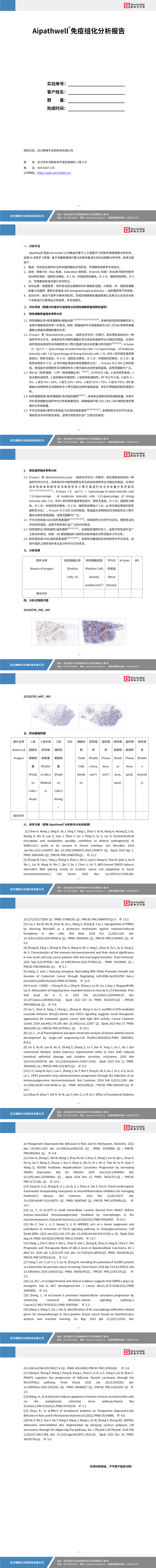 YDP2128 组化切片扫描分析（个数）_01.jpg