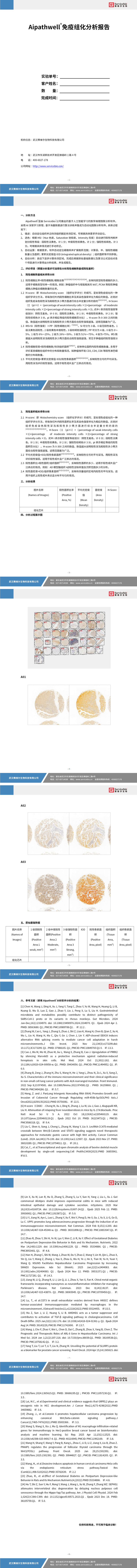 YDP2131 组化芯片扫描分析（面积）_01.jpg