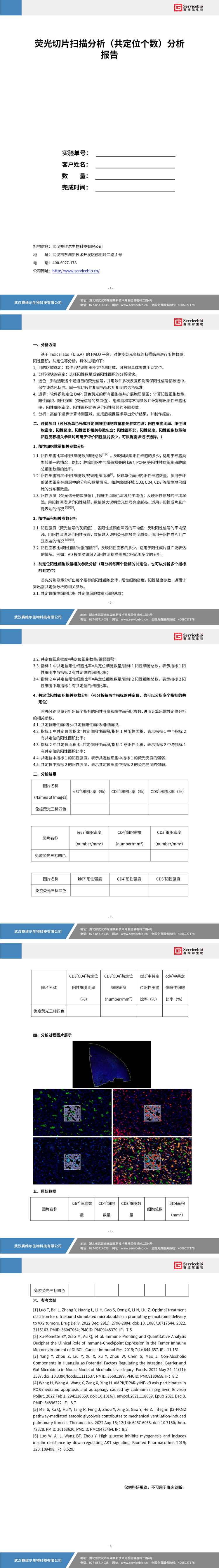 YDP2139 荧光切片扫描分析（共定位个数）_01.jpg