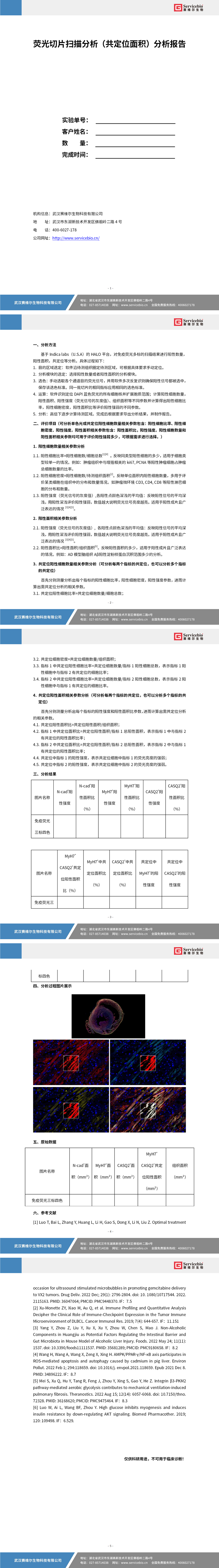YDP2141 荧光切片扫描分析（共定位面积）_01.jpg