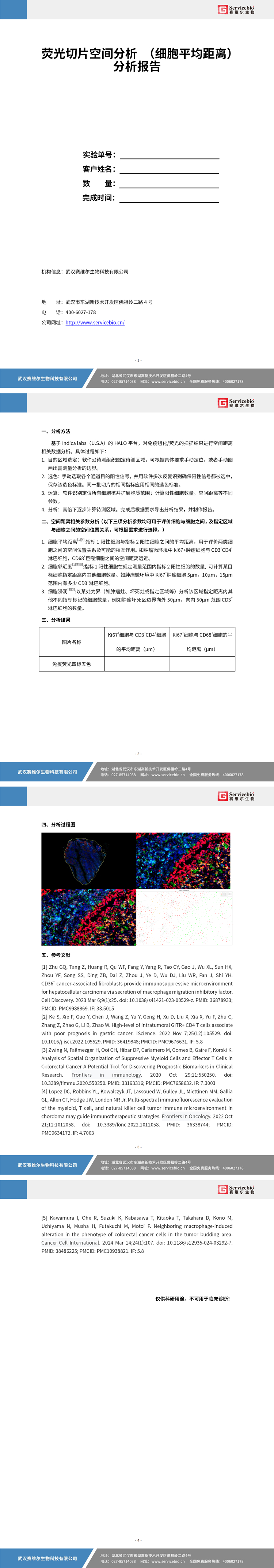 YDP2142 荧光切片扫描空间分析（细胞平均距离）_01.jpg