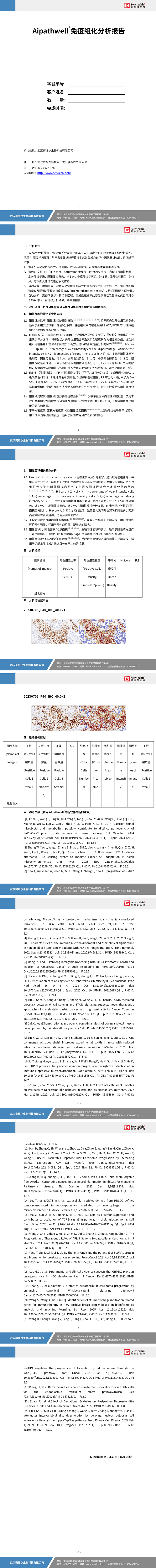 YDP2169 组化图片分析（个数）_01.jpg