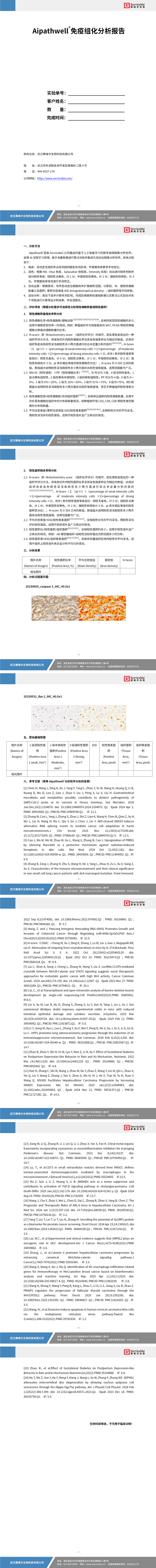 YDP2170 组化图片分析（面积）_01.jpg