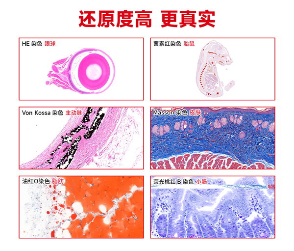 YG-S80-8 2.jpg