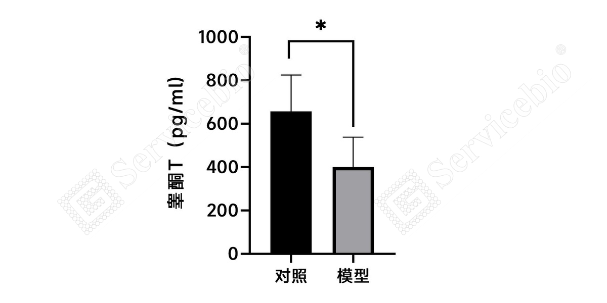 1、血清Elisa（睾酮T）.jpg