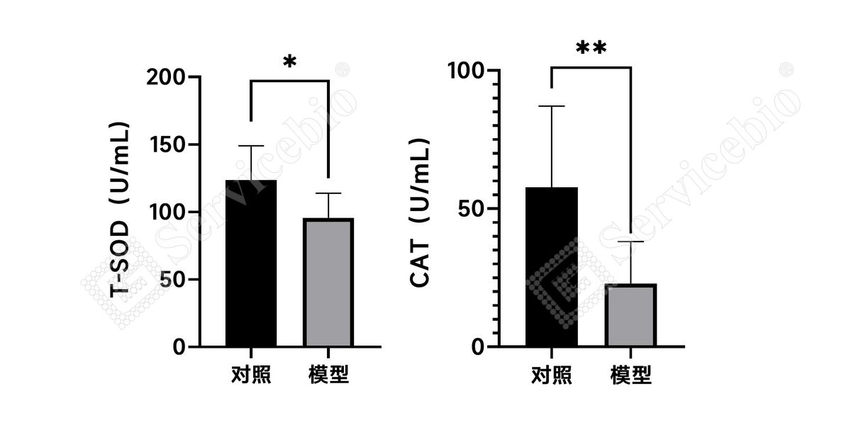 2、血清生化.jpg