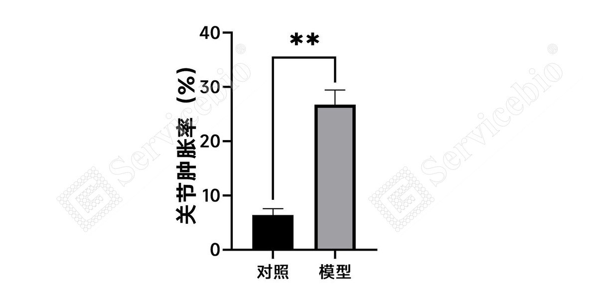 2、关节肿胀率.jpg