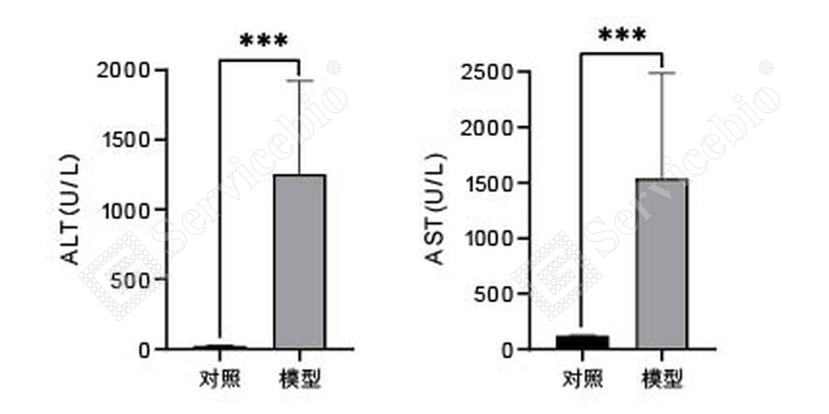 1、血清生化.jpg