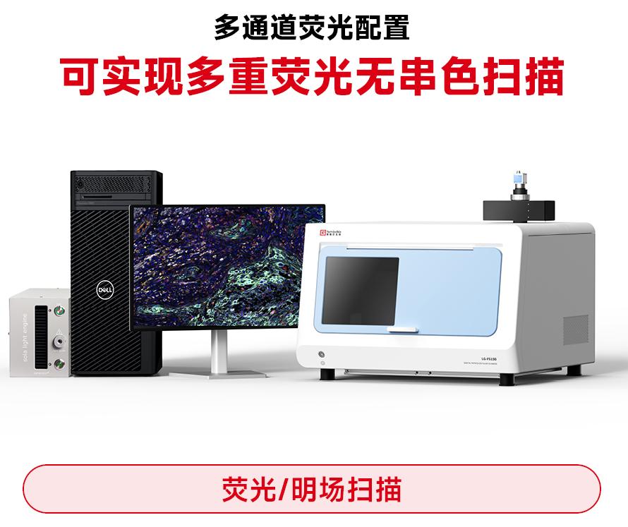 YG-FS150-1(1) - 副本.jpg