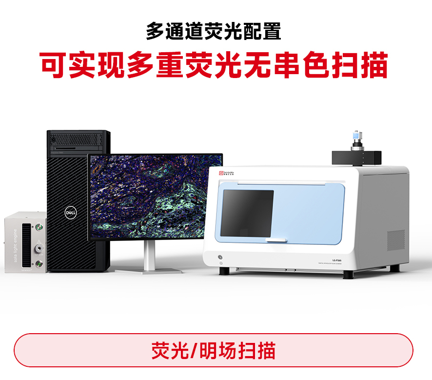 YG-FS80-1 - 副本.jpg YG-FS80-1 - 副本.jpg